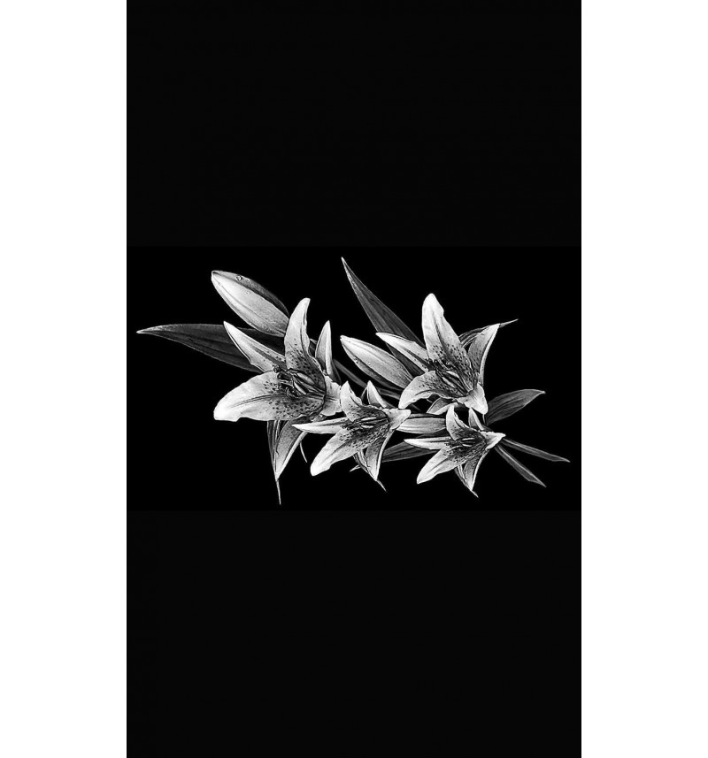 Граверовка цветов. Модель - ЦВ016