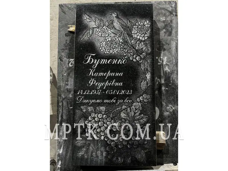 Природа на обратной стороне